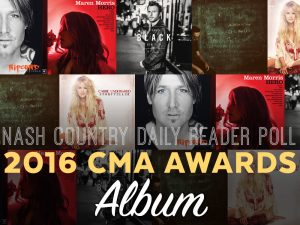 Vote Now: Who Should Win the CMA Album of the Year Award